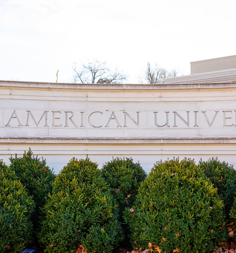 American University