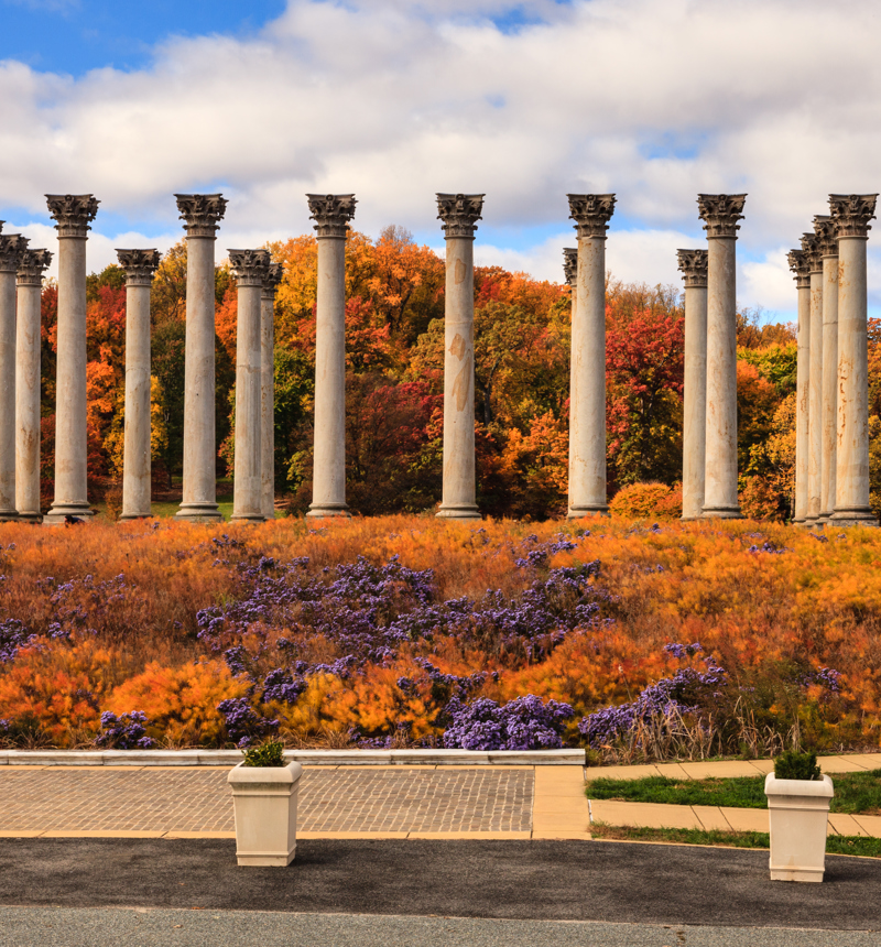 United States National Arboretum 