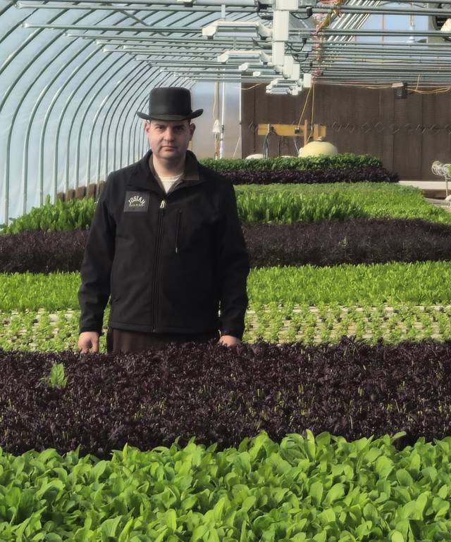 Nurturing Local Freshness